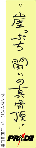 サンケイスポーツ・川田尚市様